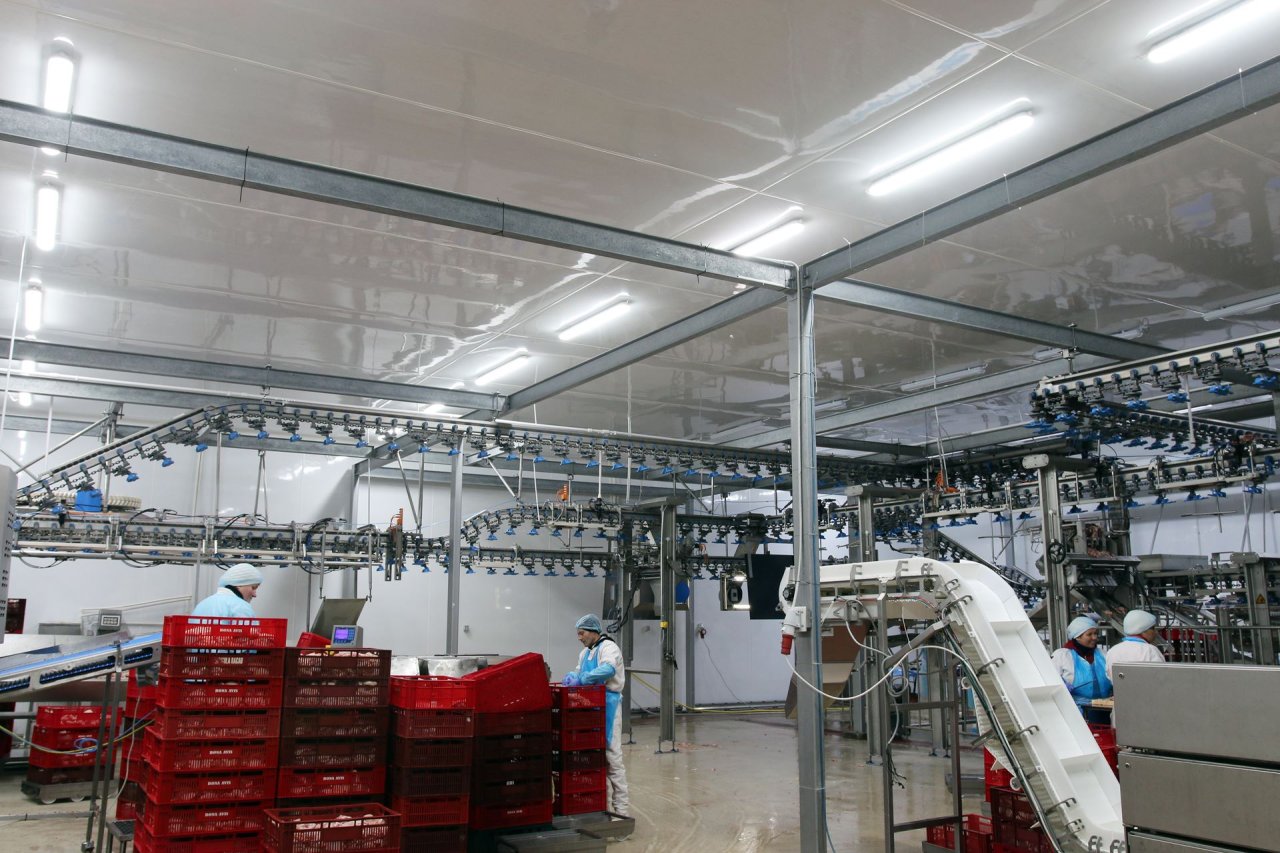 Abatorul de pui Bona Avis reconditioneaza panourile sandwich cu placile MedClyn