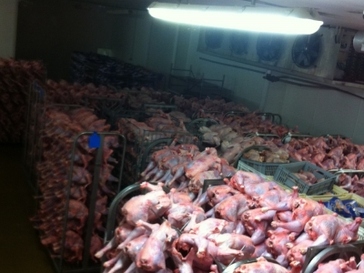 Renovare abator de curcani