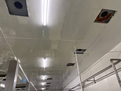 Fabrica Lacto-Solomescu - Botosani