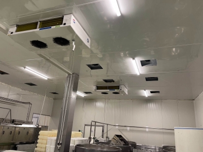 Fabrica Lacto-Solomescu - Botosani