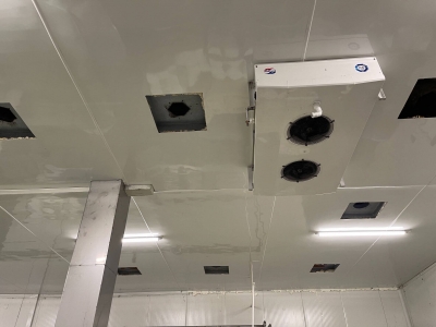 Fabrica Lacto-Solomescu - Botosani