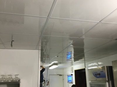 Restaurant Laduree - Paris