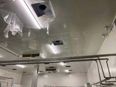 Fabrica Lacto-Solomescu - Botosani