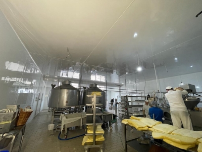 Fabrica de cascaval Vlasie Company