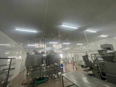 Fabrica de cascaval Vlasie Company